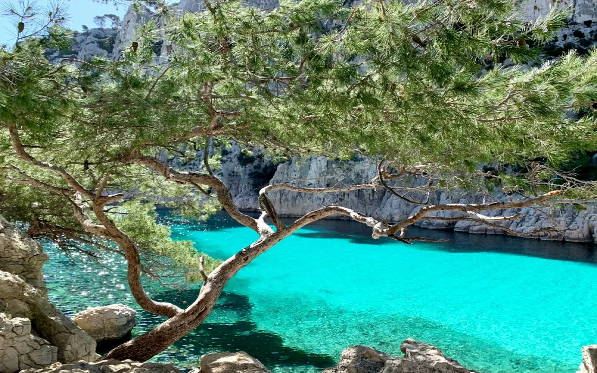 Les calanques de Cassis aux eaux turquoise